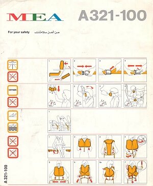 mea a321-100.jpg